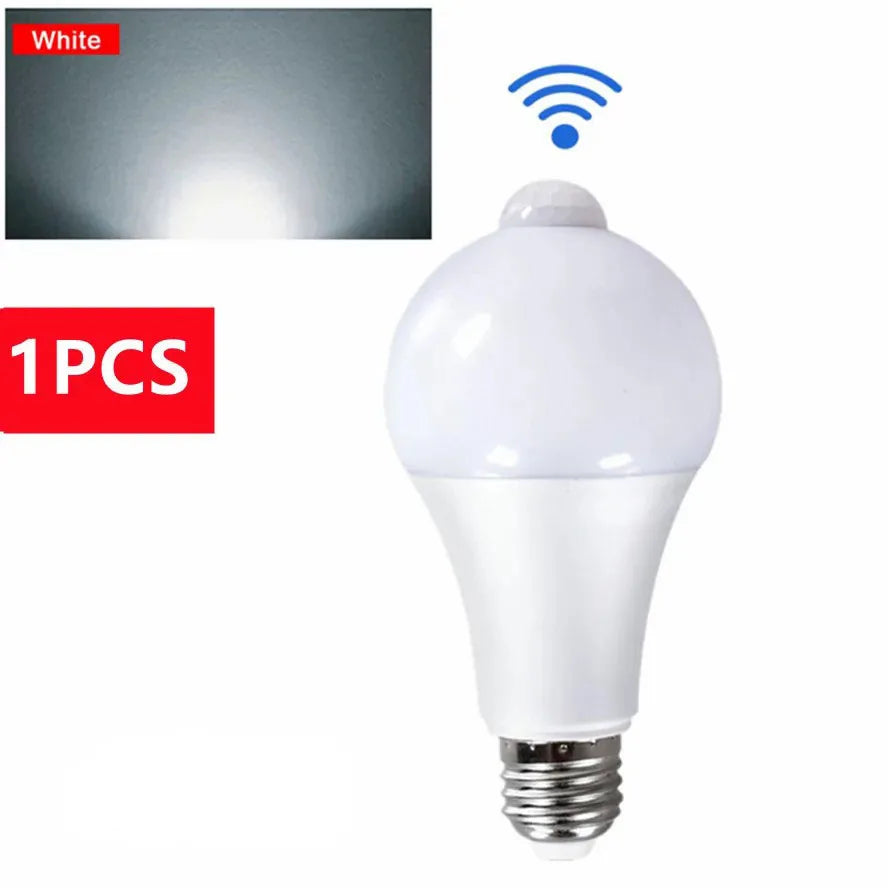 Outdoor Motion Sensor Light Bulb 20W/22V