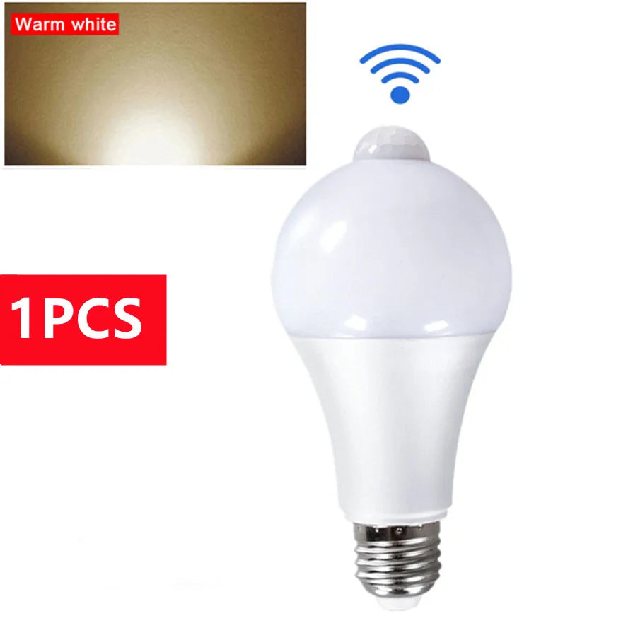 Outdoor Motion Sensor Light Bulb 20W/22V