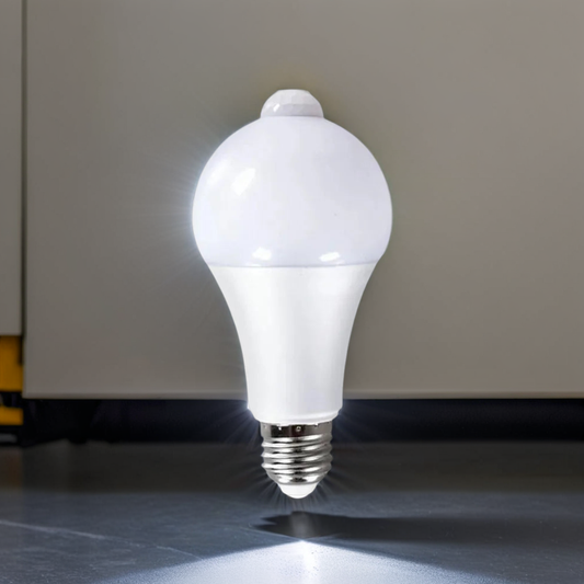 Outdoor Motion Sensor Light Bulb 20W/22V